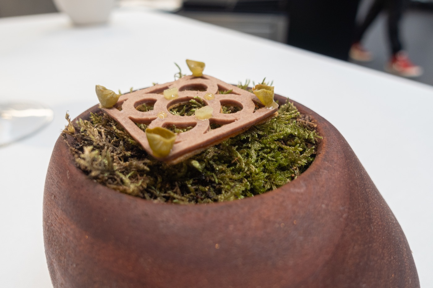 ‘Escudella amb Pilota’. The pilota, under moss.