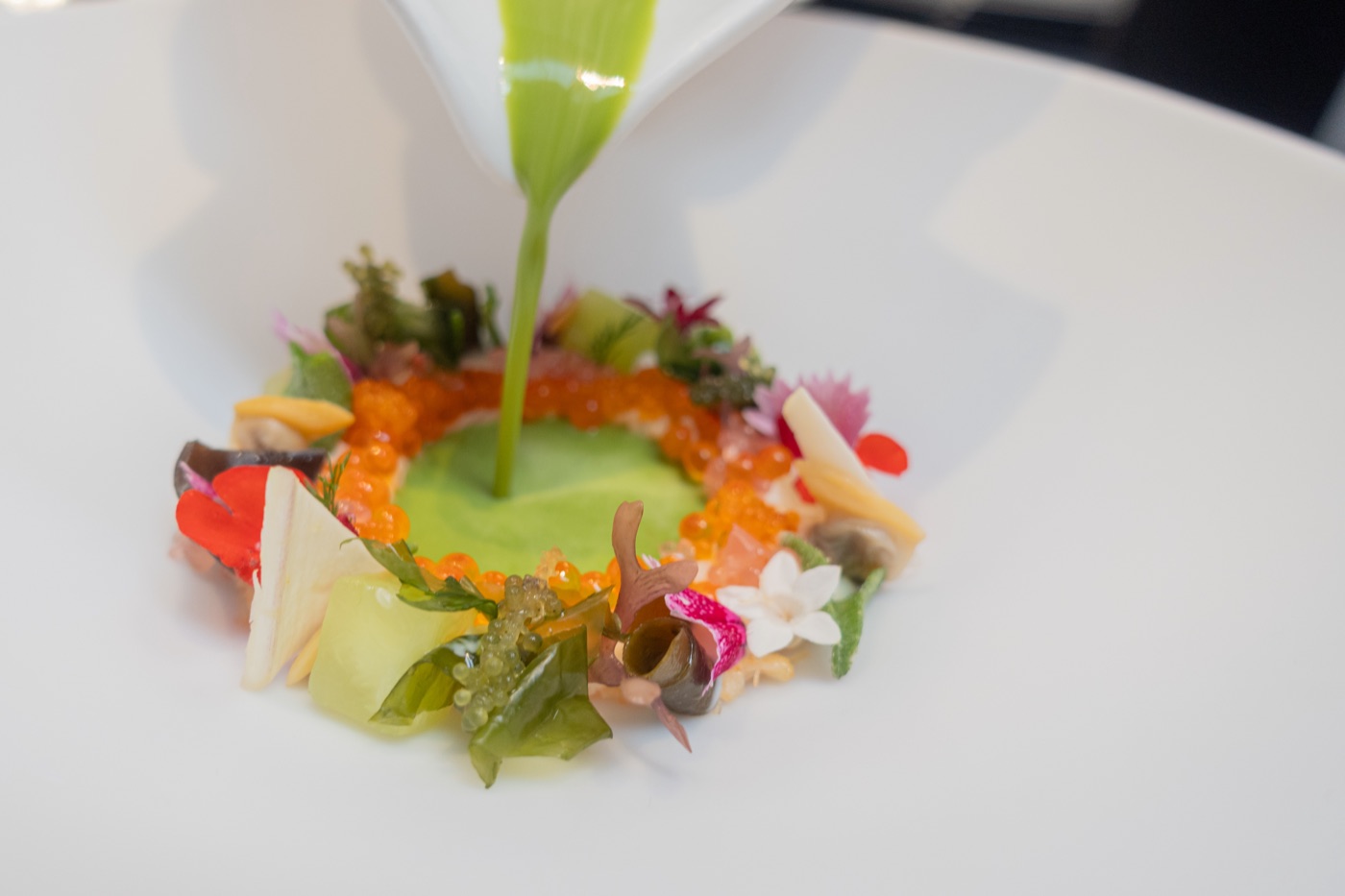 Galician brown Crab, Clams, Seaweed with Endive and Watercress sauce. La Ría de Galicia. The Watercress sauce is poured at the table.