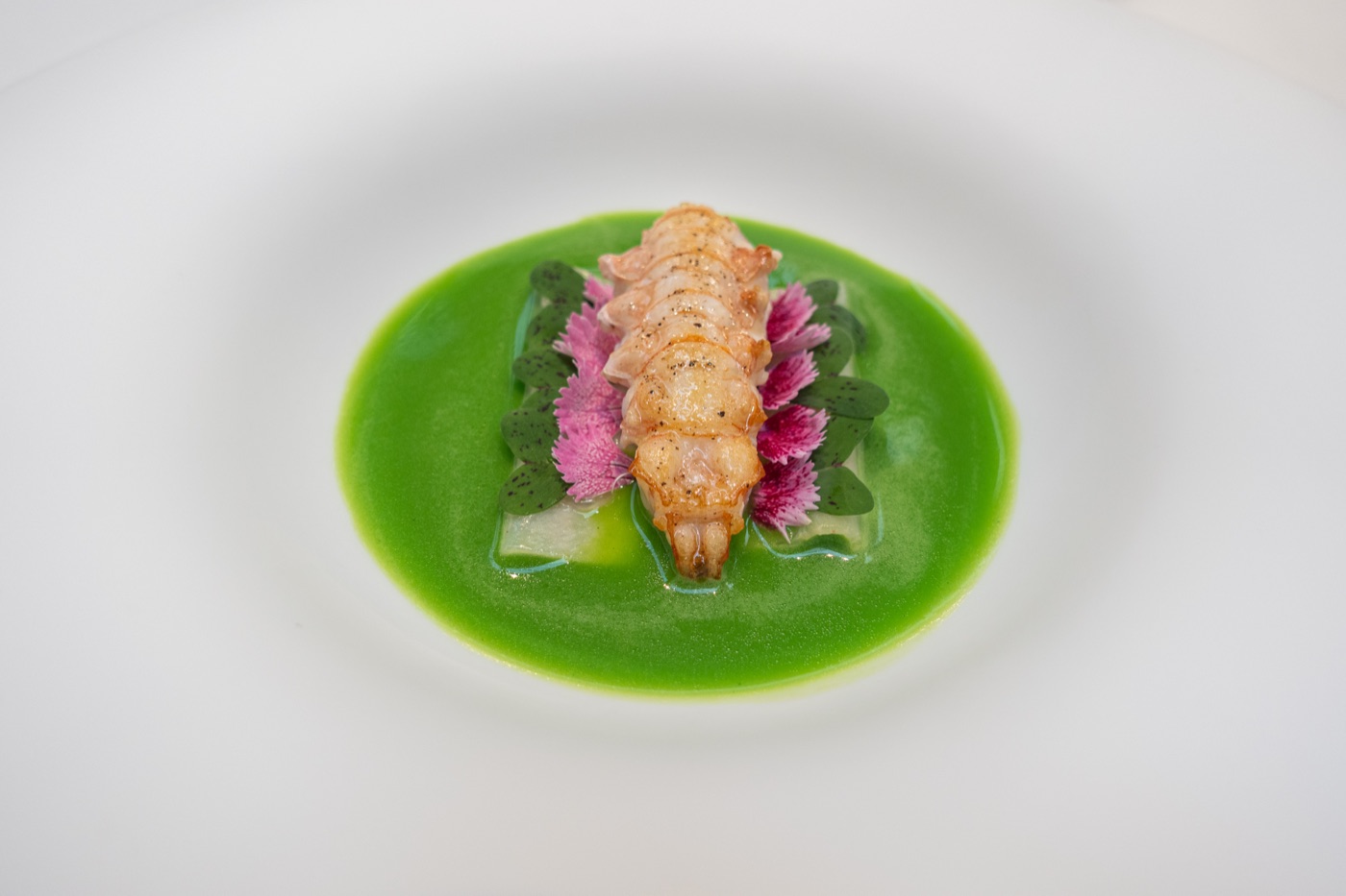 Langoustine, blood sausage, Bergamot, Plankton and Sherry wine. Catalan cuisine.
